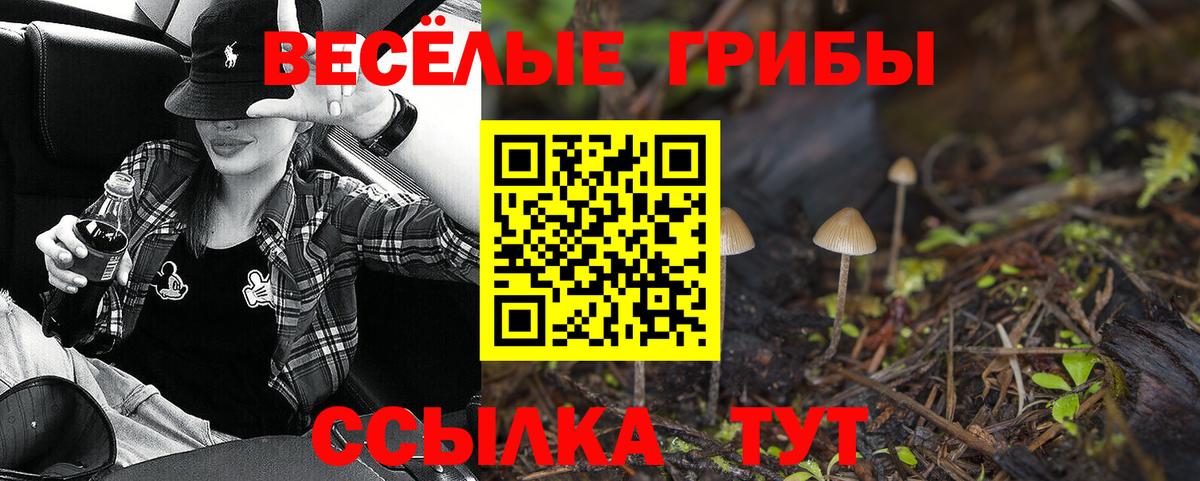 купить закладку  Вход с VPN  Шадринск  Галлюциногенные грибы GOLDEN TEACHER  Псилоцибиновые грибы мухоморы 